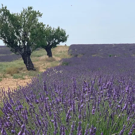 Nuitee En Provence 2 Lejlighedshotel *